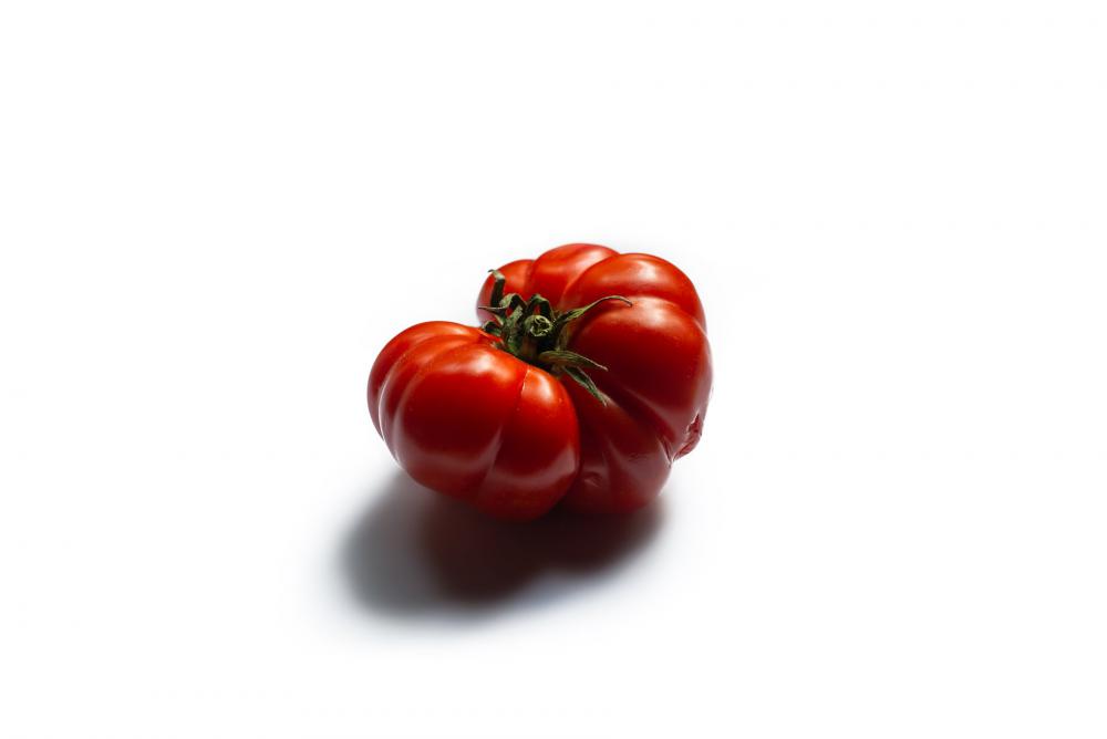 Heirloom Tomato On White Background Photo Heirloom Tomato On White Background Photo