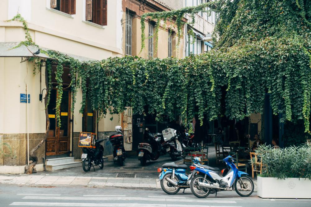 Motorbikes Parked Under Green Vines Photo Motorbikes Parked Under Green Vines Photo