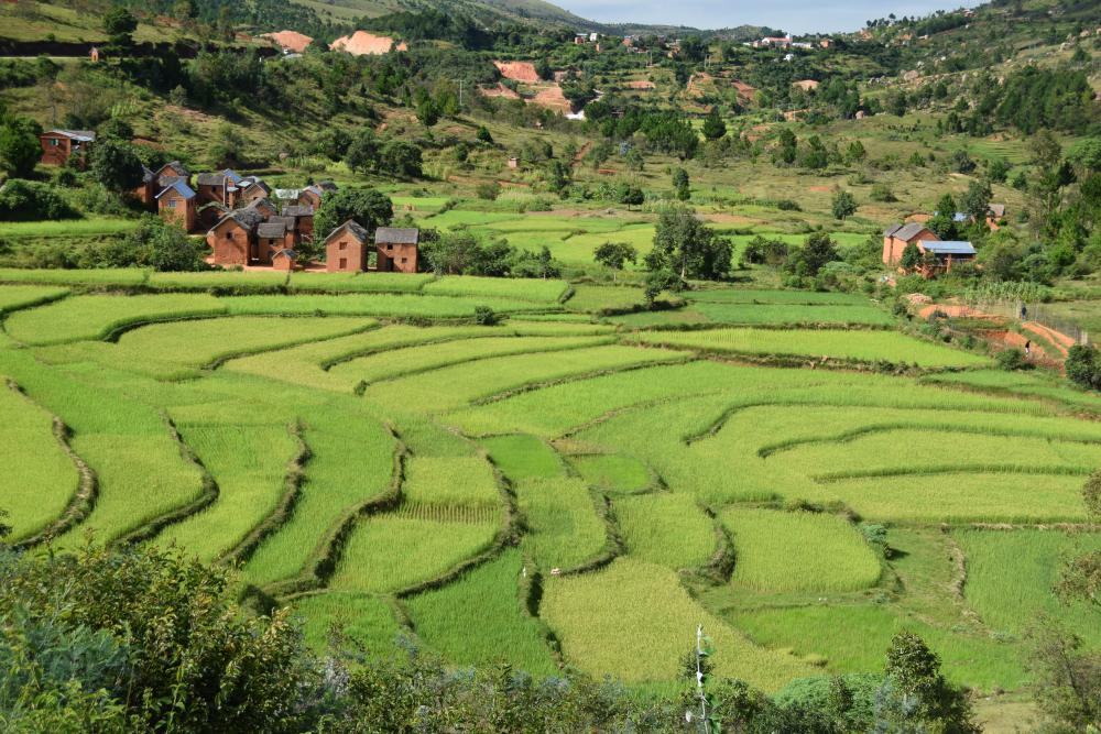 greenery, green space, skyscraper, landscape, bridge, mountain, tree, grass, view from the sky, geography, nature, environment, dwelling greenery, green space, skyscraper, landscape, bridge, mountain, tree, grass, view from the sky, geography, nature, environment, dwelling