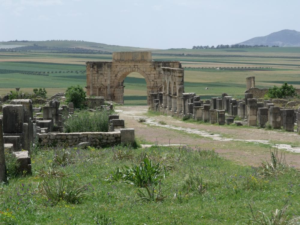 archeology, ancient stone, history, vestige, epigraphy, history, paleography, paleontology, prehistory, antiquity, old ruined building, tourism, discovery, greenery archeology, ancient stone, history, vestige, epigraphy, history, paleography, paleontology, prehistory, antiquity, old ruined building, tourism, discovery, greenery