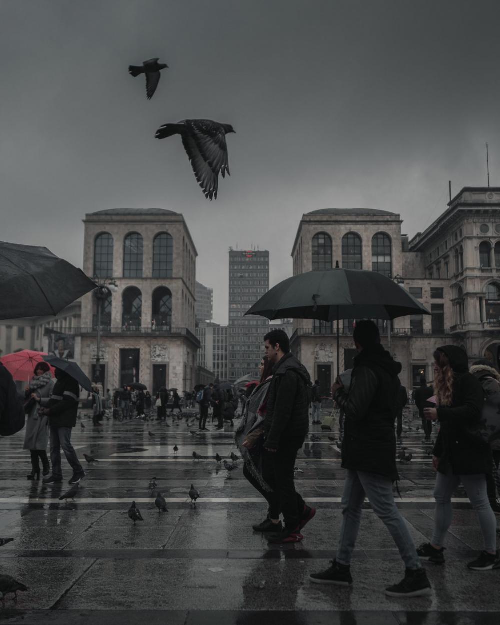 Rainy day Rainy day