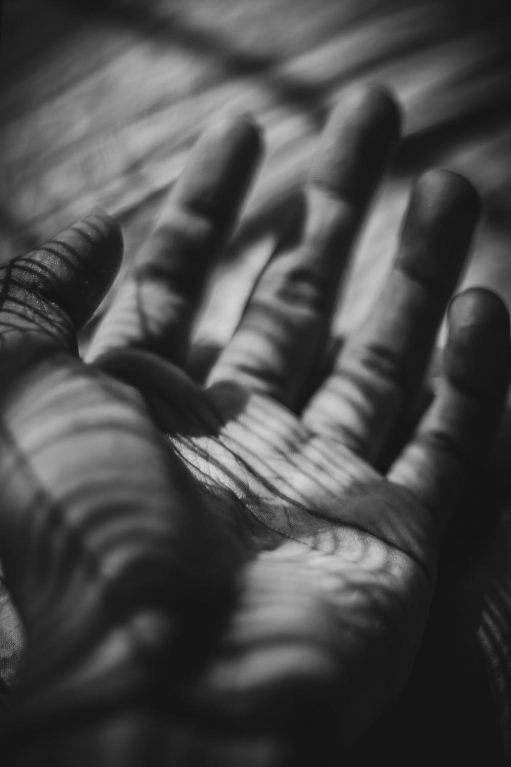 Naturally Lit Hand In Monochrome Photo Naturally Lit Hand In Monochrome Photo