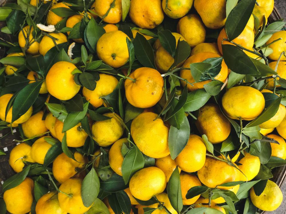 Tangerins with leaves Tangerins with leaves