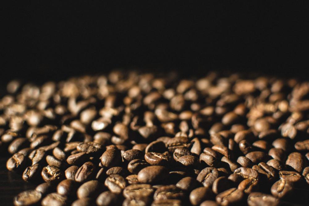 Lightly roasted coffee beans close up Lightly roasted coffee beans close up