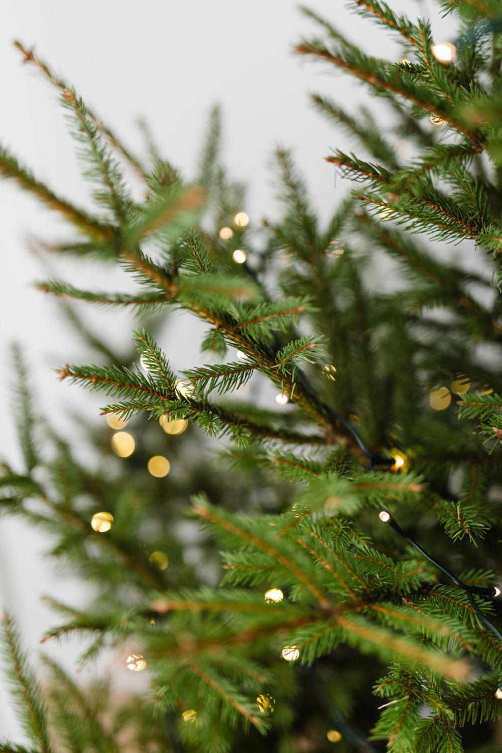 Christmas decorations - gifts - lights - tree Christmas decorations - gifts - lights - tree