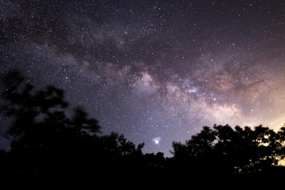 Trees Night Sky Free Photo Trees Night Sky Free Photo
