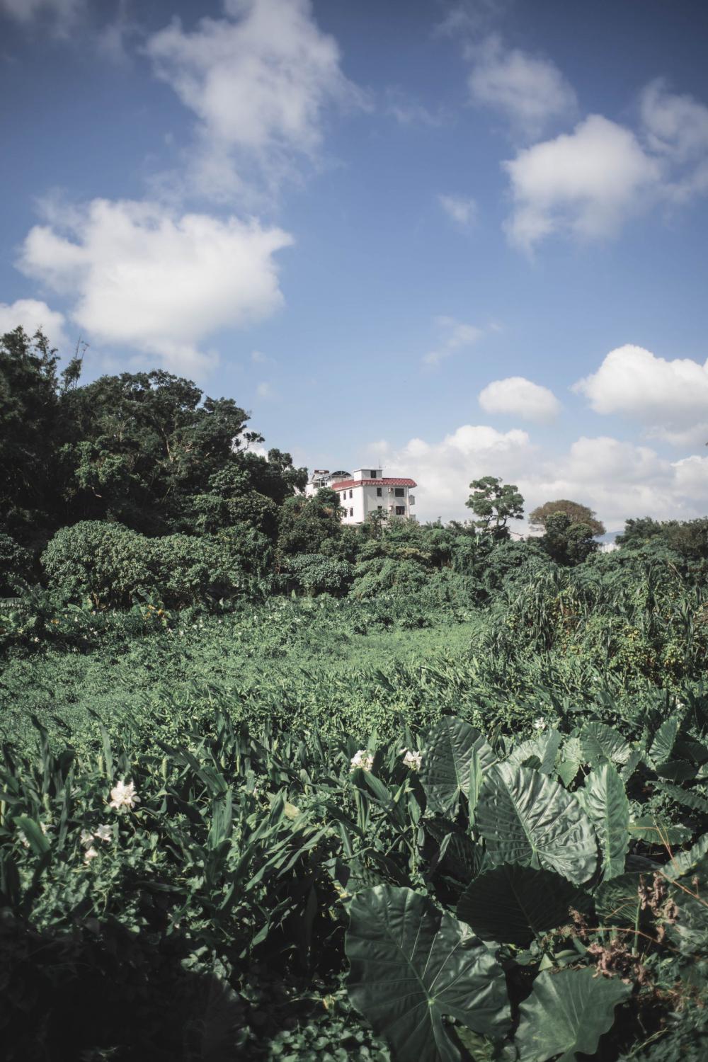 Big garden Big garden