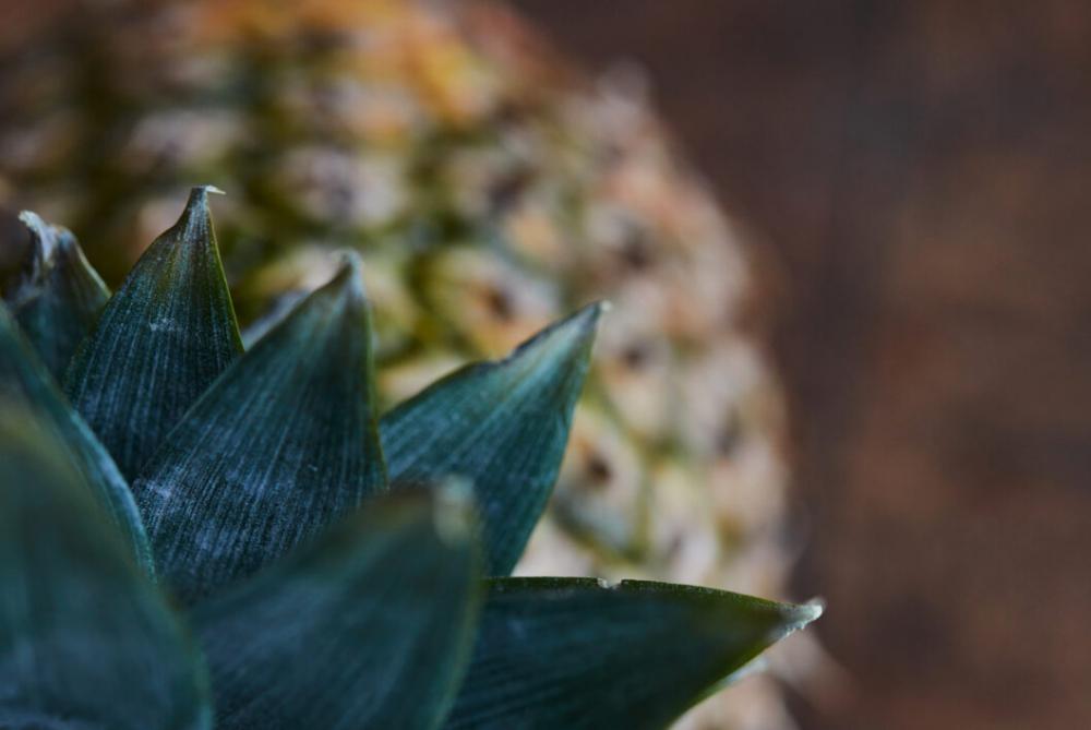 Pineapple Fruit Close Free Photo Pineapple Fruit Close Free Photo