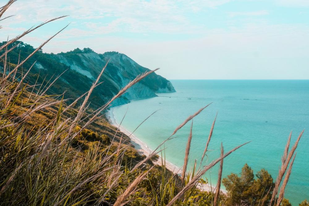 Wild Grass On An Ocean Coastal Range Photo Wild Grass On An Ocean Coastal Range Photo