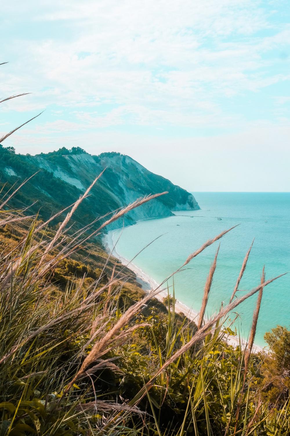 Wild Foliage On The Hill Top Of A Coastline Photo Wild Foliage On The Hill Top Of A Coastline Photo