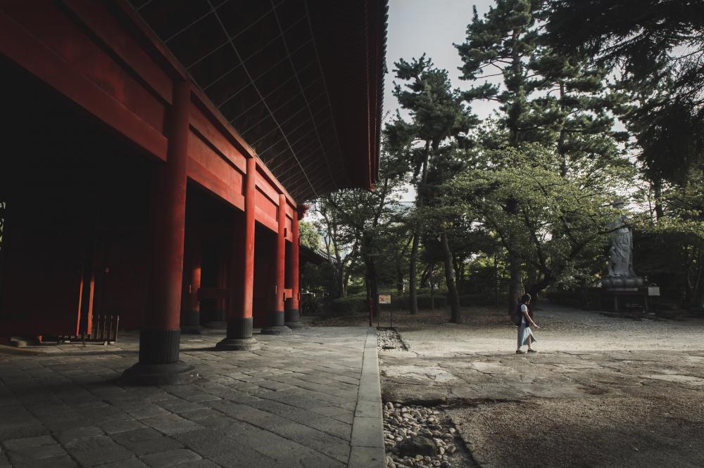 Red Building And Trees With A Person Walking Photo Red Building And Trees With A Person Walking Photo