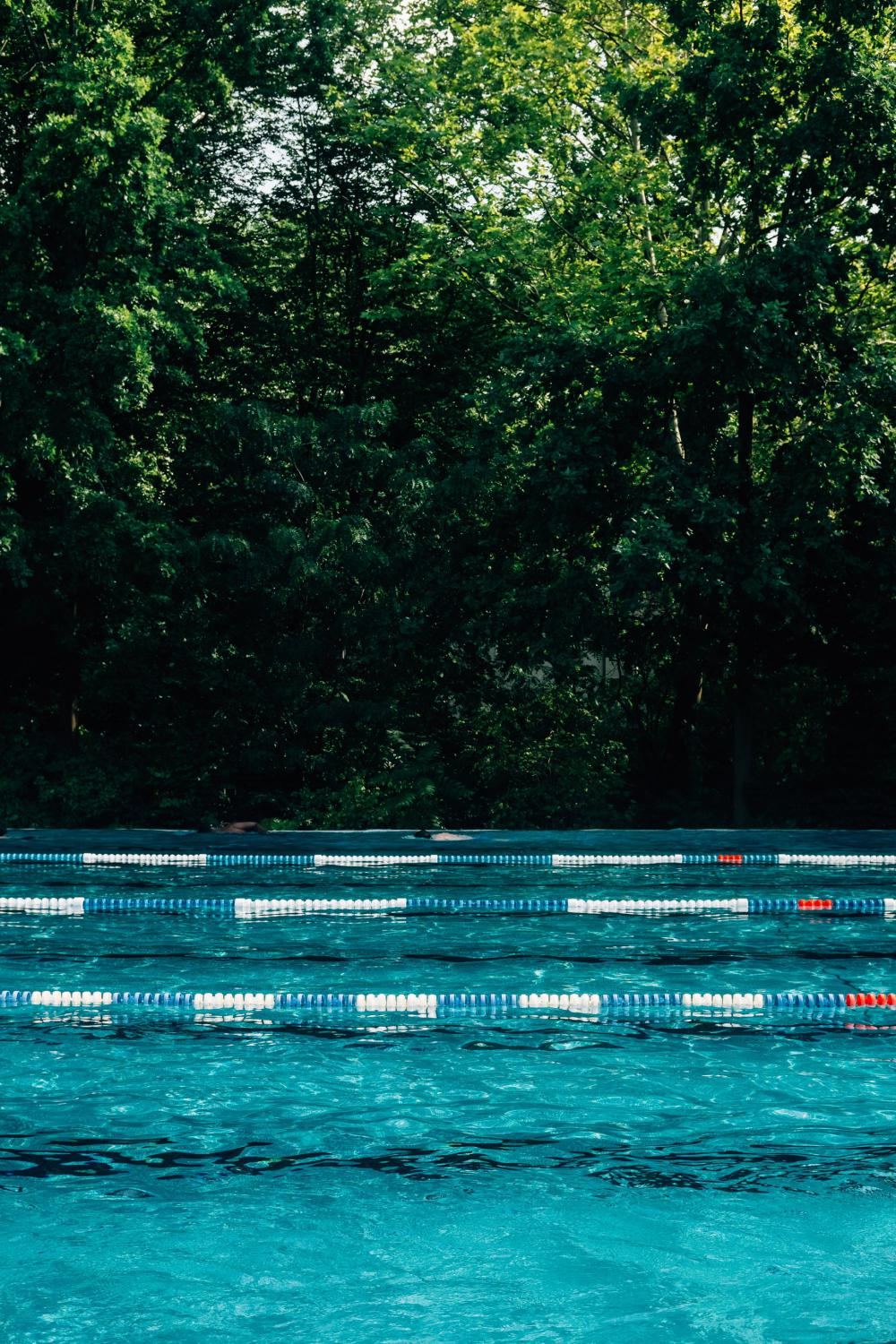 Outdoor Swimming Pool With Tall Trees Behind It Photo Outdoor Swimming Pool With Tall Trees Behind It Photo