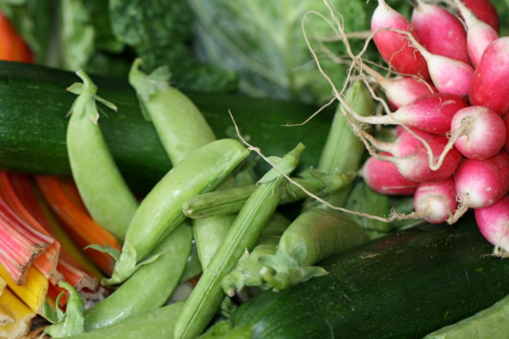 Fresh Vegetables Free Photo Fresh Vegetables Free Photo