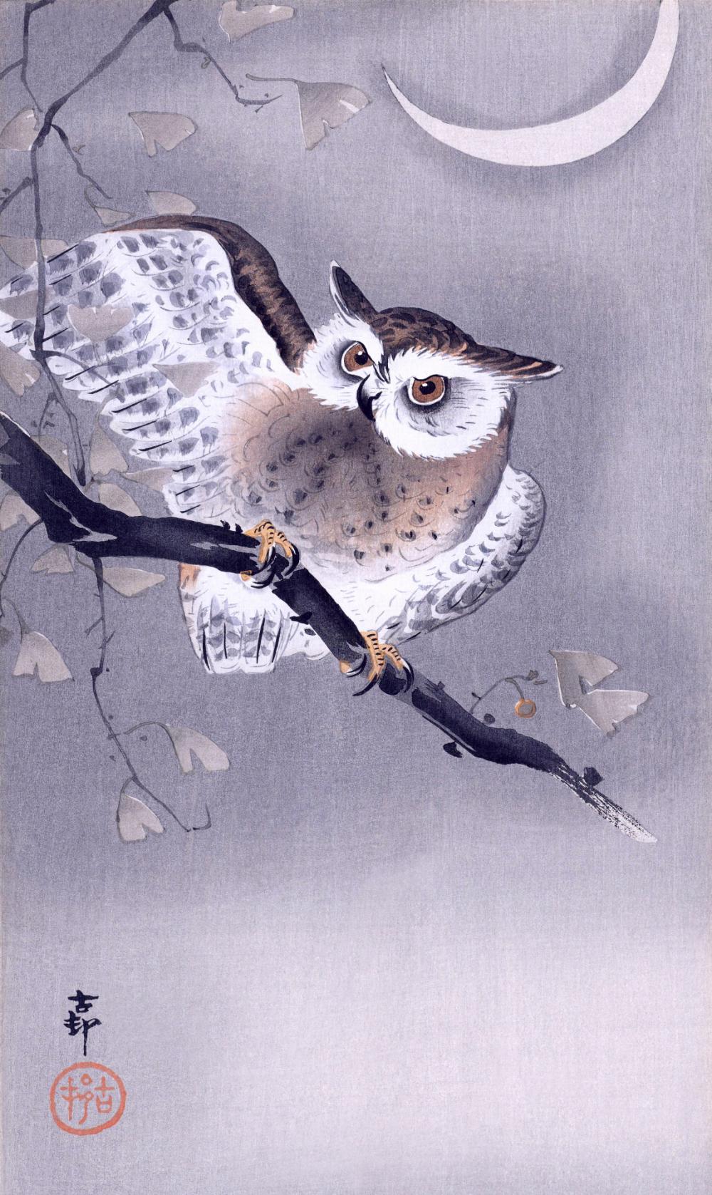 Owl Vintage Art Old Owl Vintage Art Old