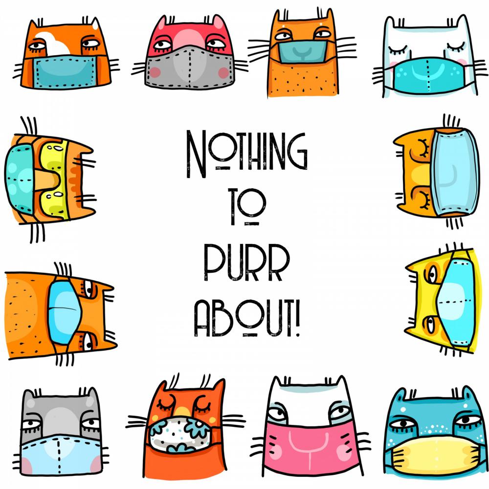 Cats Masked Due To COVID Cats Masked Due To COVID