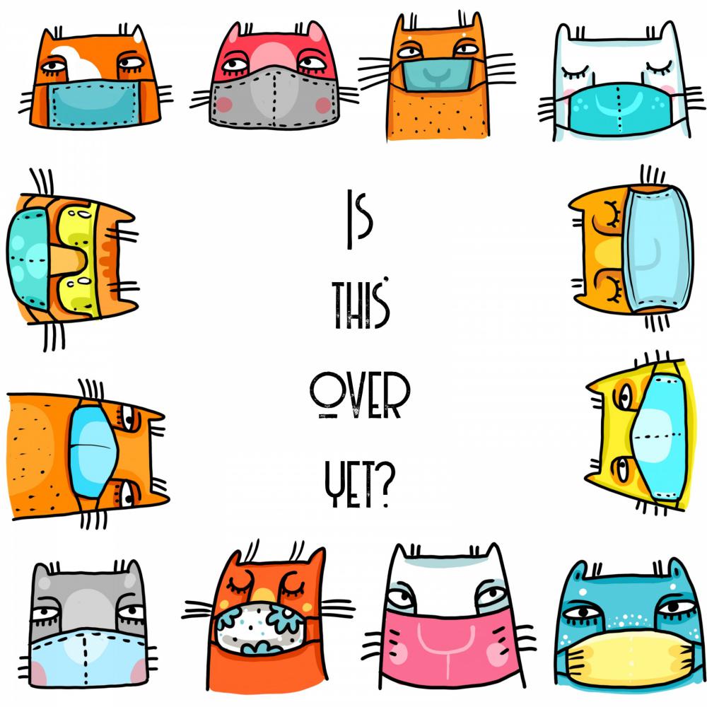 Cats Masked Due To COVID Cats Masked Due To COVID