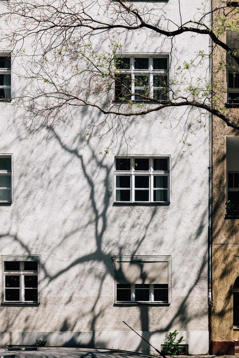 The Side Of A Tall White Building Shadowed By A Tree Photo The Side Of A Tall White Building Shadowed By A Tree Photo