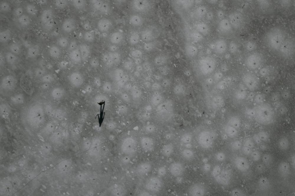 Aerial Photo Of An Outdoor Ice Rink With A Single Person On It Photo Aerial Photo Of An Outdoor Ice Rink With A Single Person On It Photo