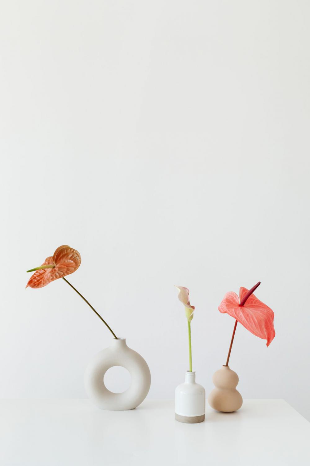 Flowers With Beige Background Flowers With Beige Background