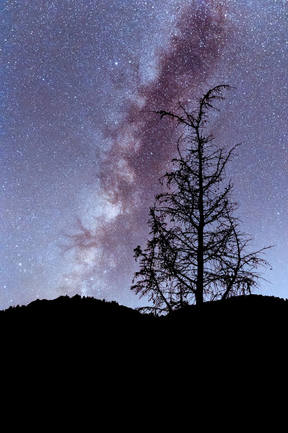 Under the Stars Under the Stars