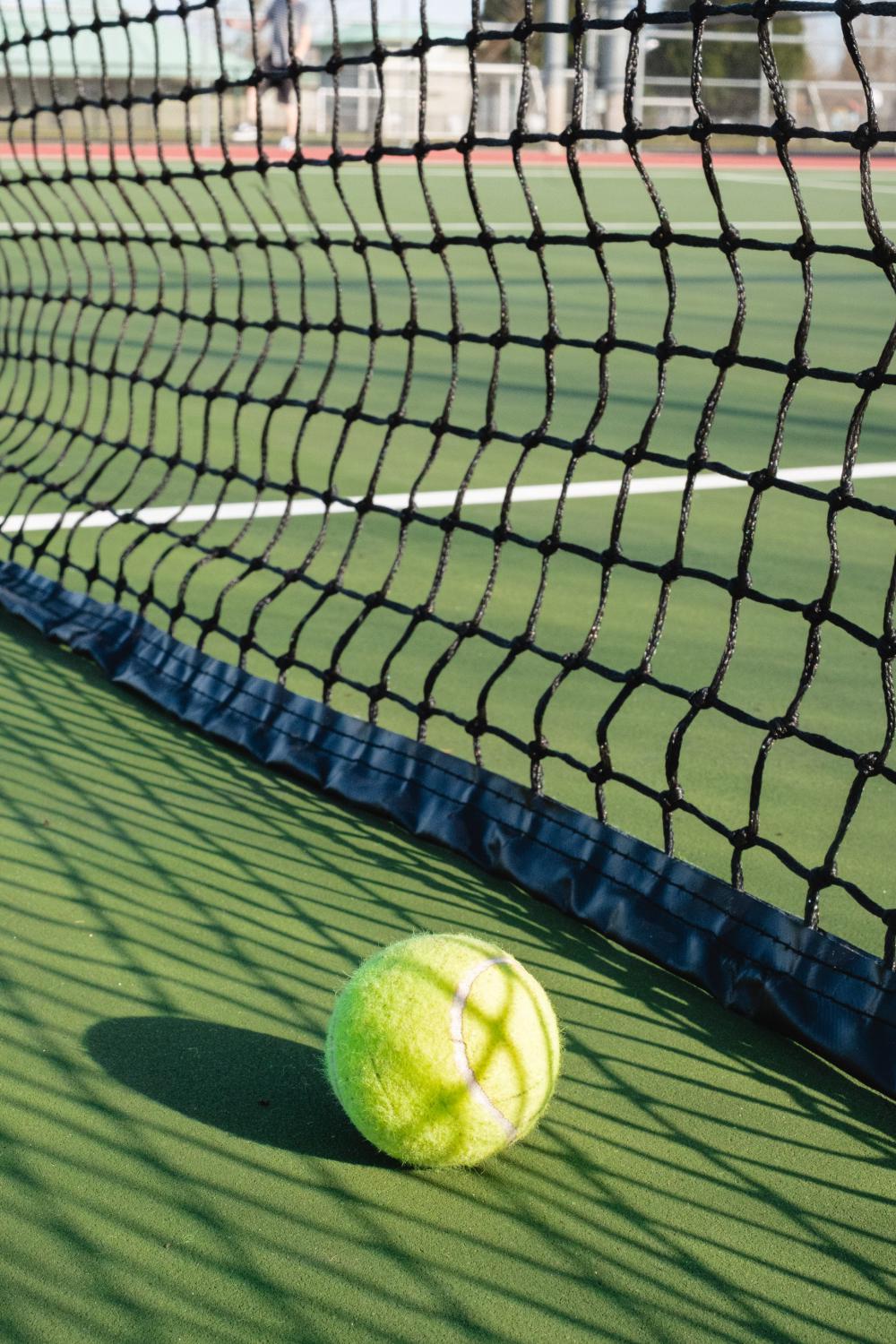 Tennis Ball Lays Net To A Tennis Net Photo Tennis Ball Lays Net To A Tennis Net Photo