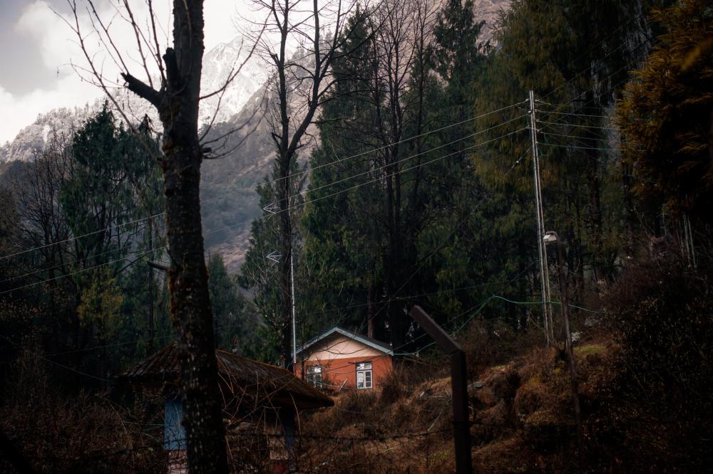 An Orange House Surrounded By Trees Photo An Orange House Surrounded By Trees Photo