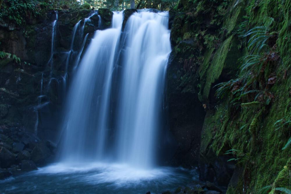 Waterfall Forest Waterfall Forest