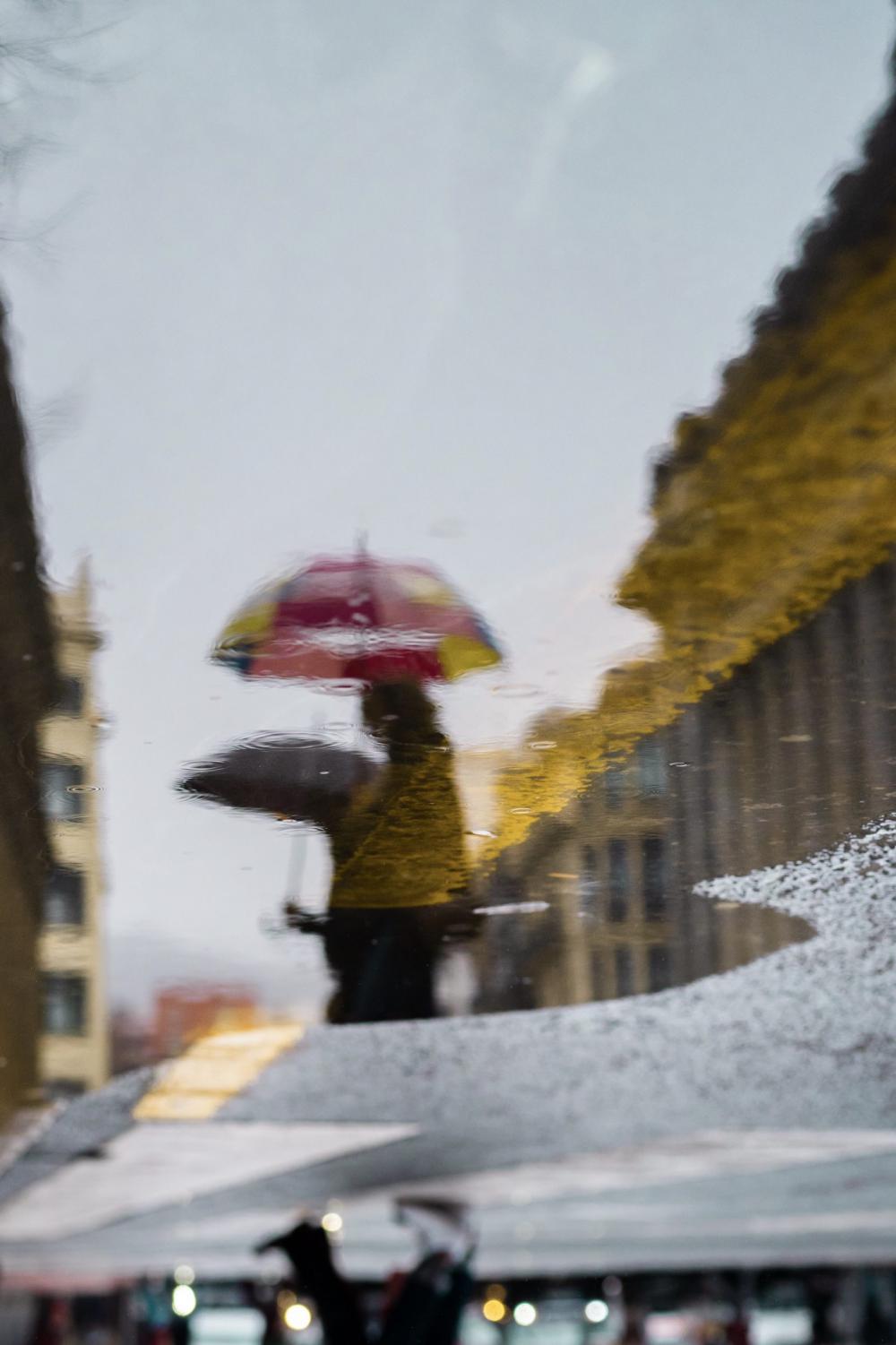 Reflection in the rain Reflection in the rain