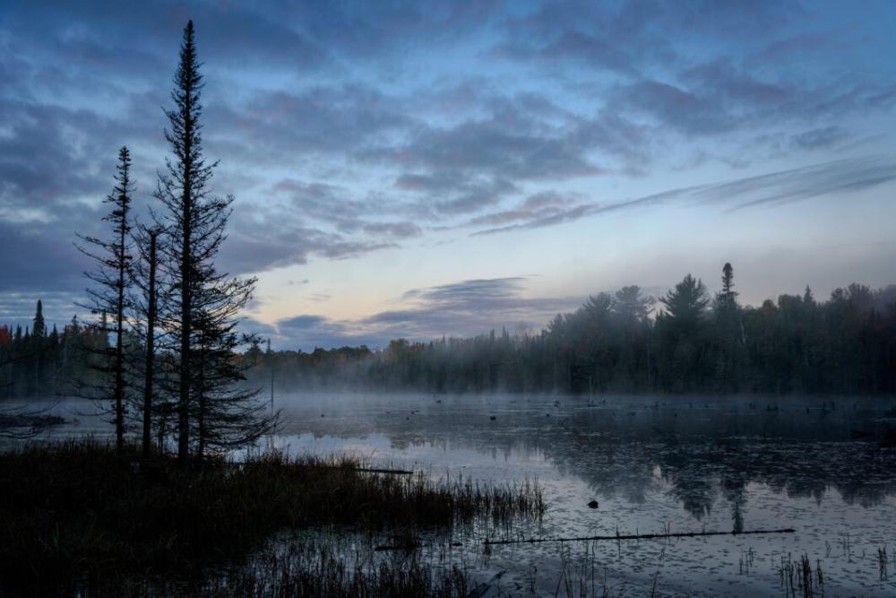 Lake Landscape Tree Free Photo Lake Landscape Tree Free Photo
