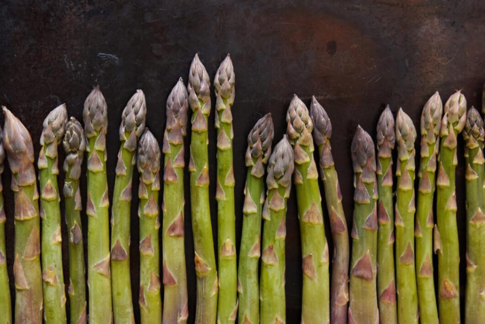 Green Asparagus Background Free Photo Green Asparagus Background Free Photo