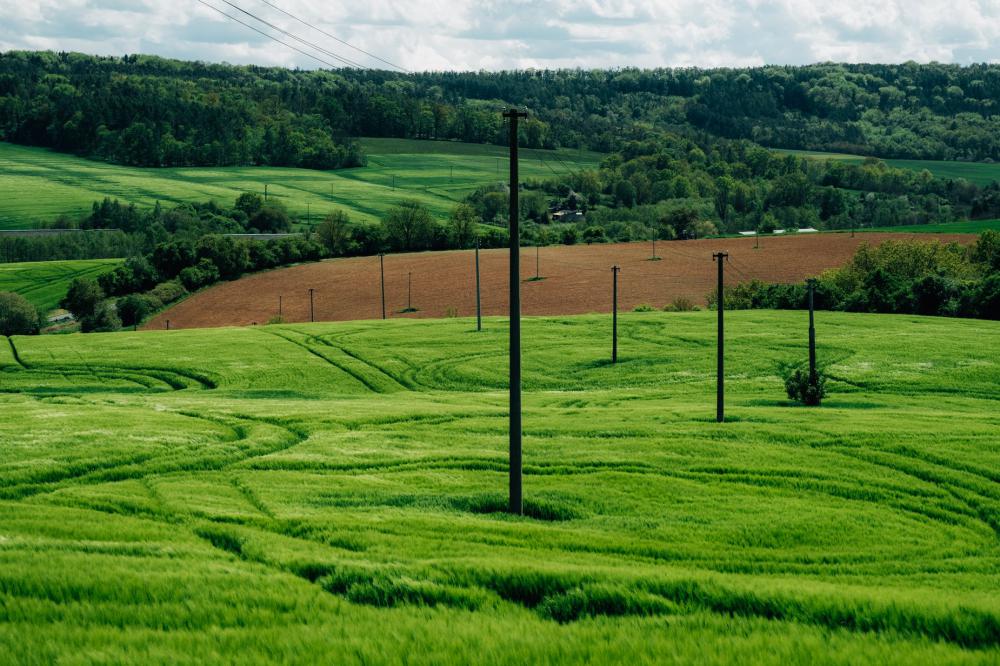 Vibrant Green Hills With Poles Connected By Wire Photo Vibrant Green Hills With Poles Connected By Wire Photo