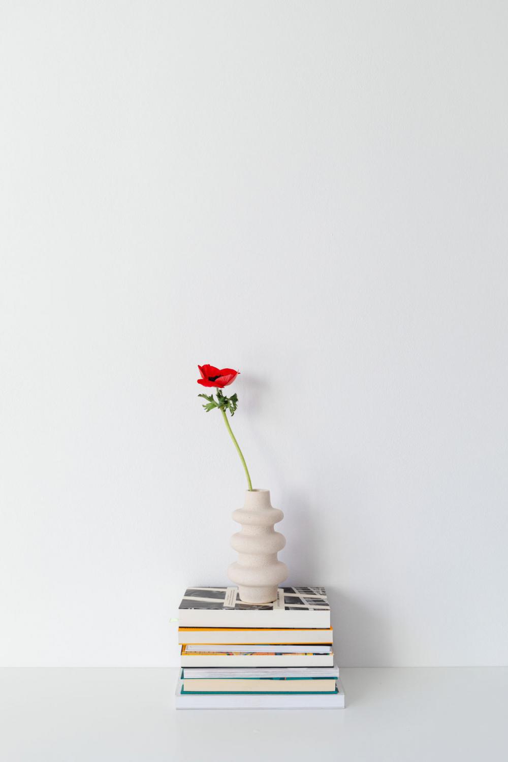 Books - Corrective Glasses - Flowers Books - Corrective Glasses - Flowers