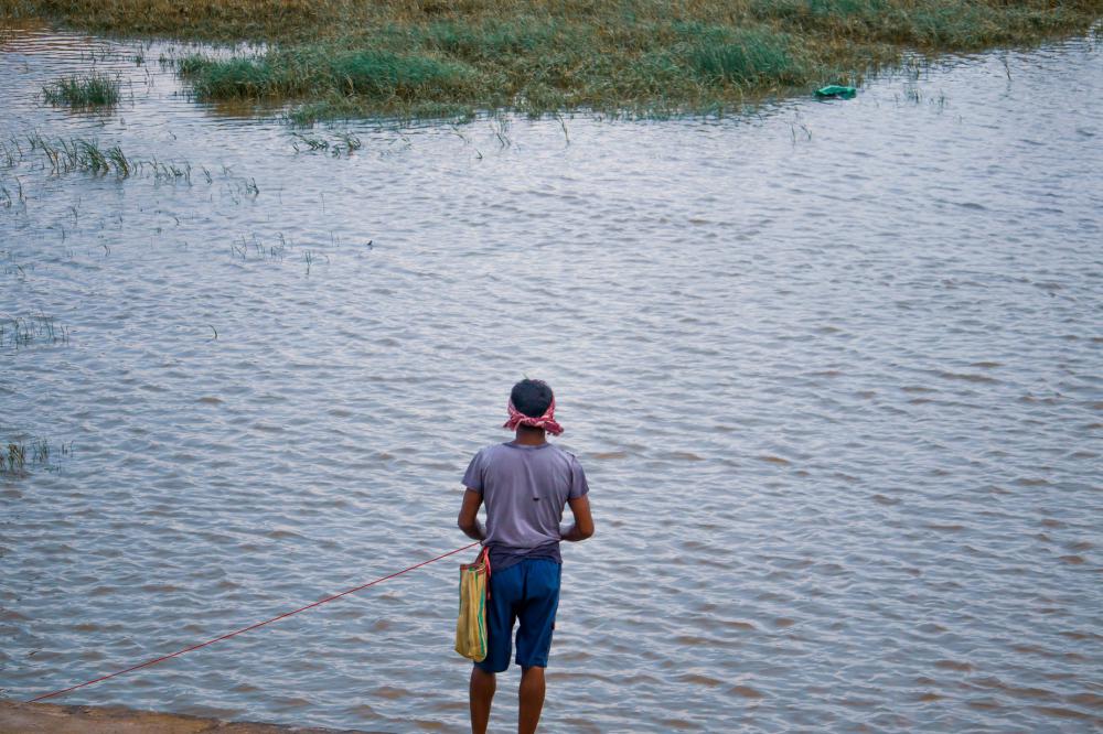 Person Faces Blue Water With Tall Grass Growing In It Photo Person Faces Blue Water With Tall Grass Growing In It Photo