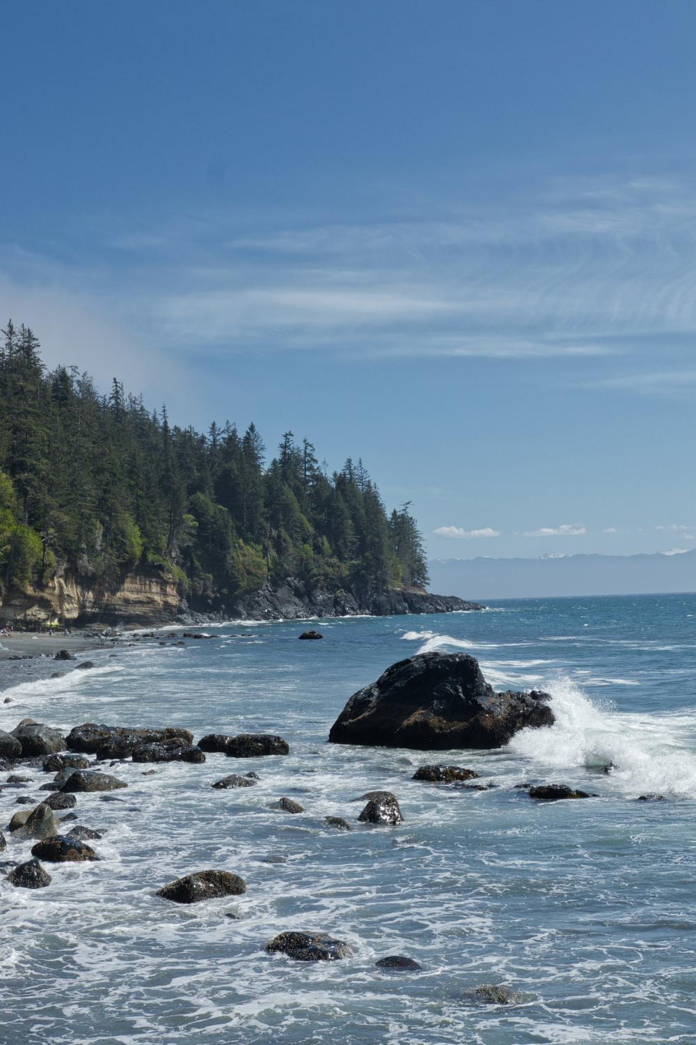Landscape Of A Tree Lined Ocean Coast Photo Landscape Of A Tree Lined Ocean Coast Photo
