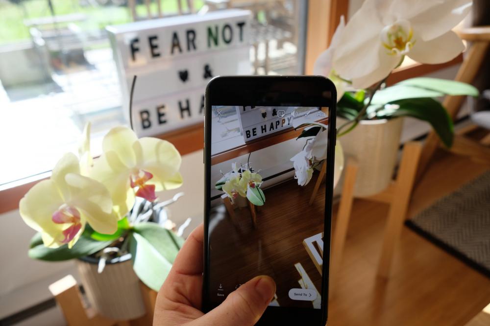 Taking Cell Phone Photos Of Orchids By Windowsill Photo Taking Cell Phone Photos Of Orchids By Windowsill Photo