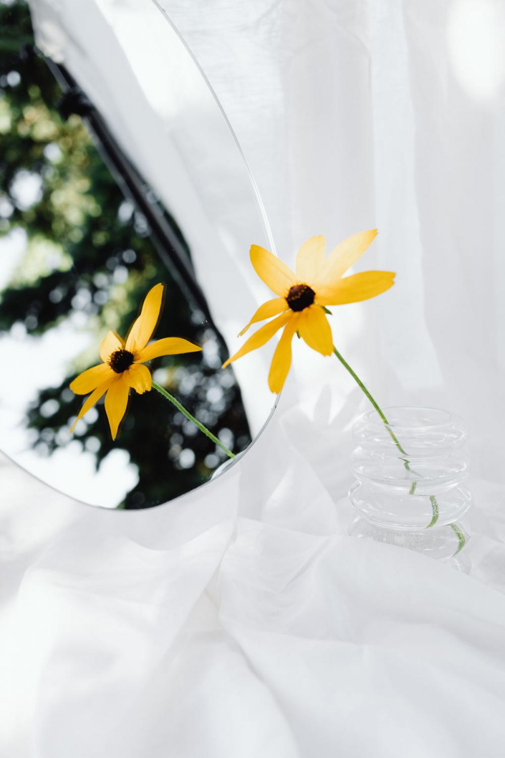 Neutral backgrounds - flowers in vases Neutral backgrounds - flowers in vases