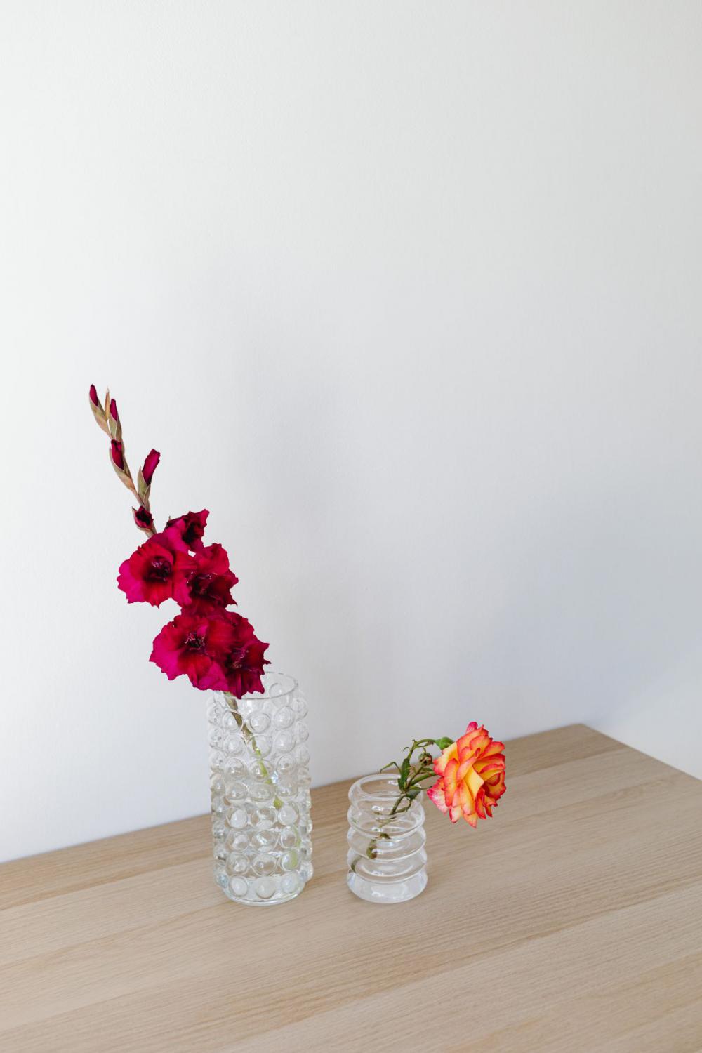 Neutral backgrounds - flowers in vases Neutral backgrounds - flowers in vases