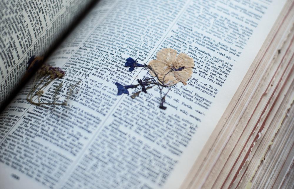 A Pressed Flower In The Pages Of An Old Dictionary Photo A Pressed Flower In The Pages Of An Old Dictionary Photo
