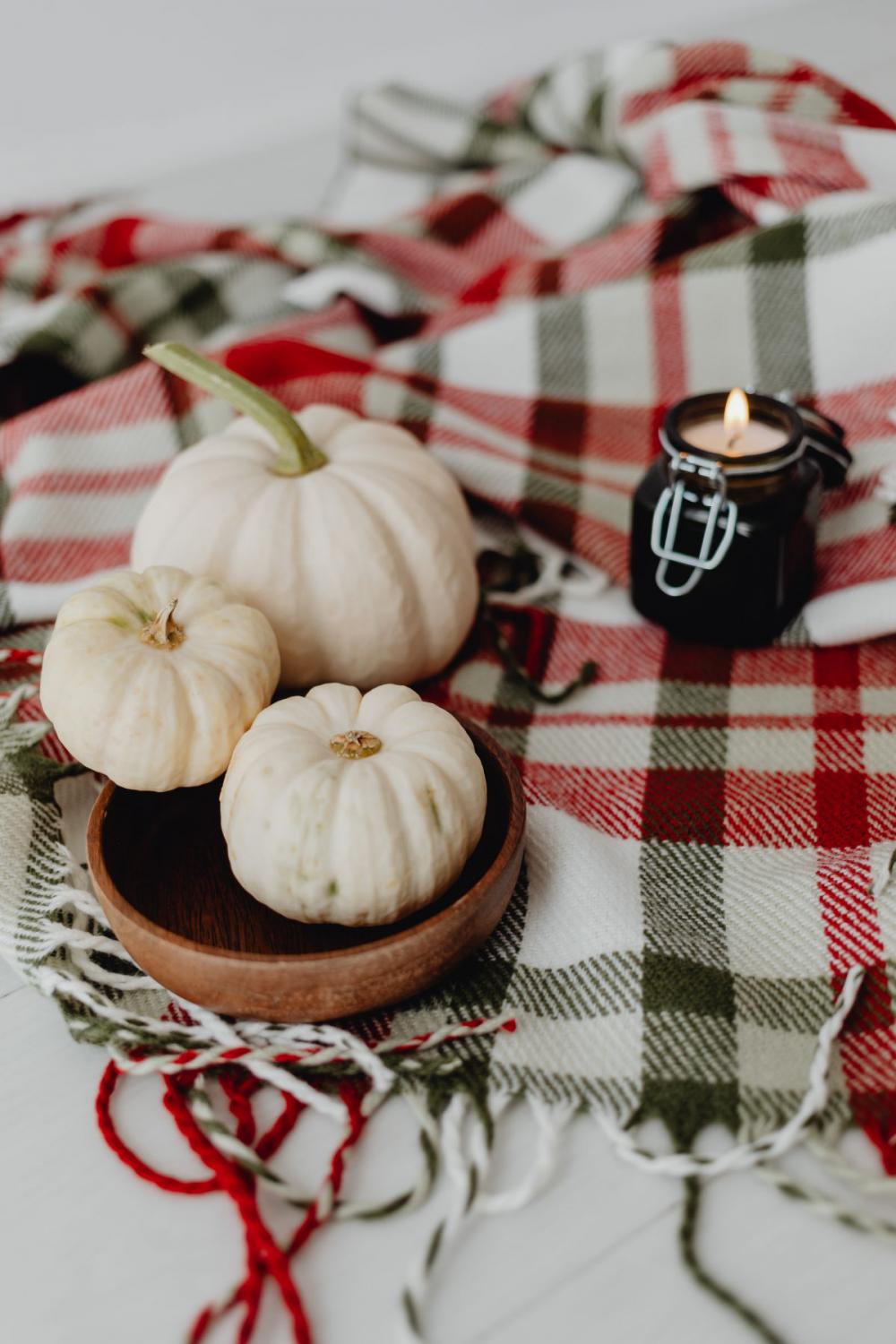 Bright autumn backgrounds - pumpkins - flowers - candle Bright autumn backgrounds - pumpkins - flowers - candle