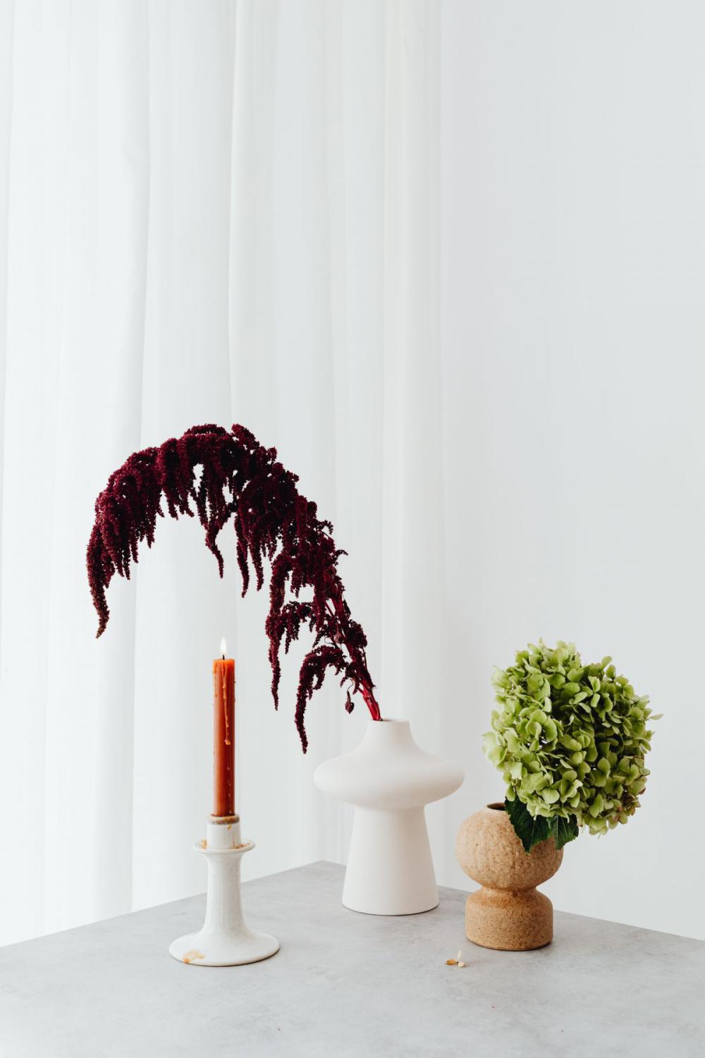 Dried flowers - still life - backgrounds Dried flowers - still life - backgrounds