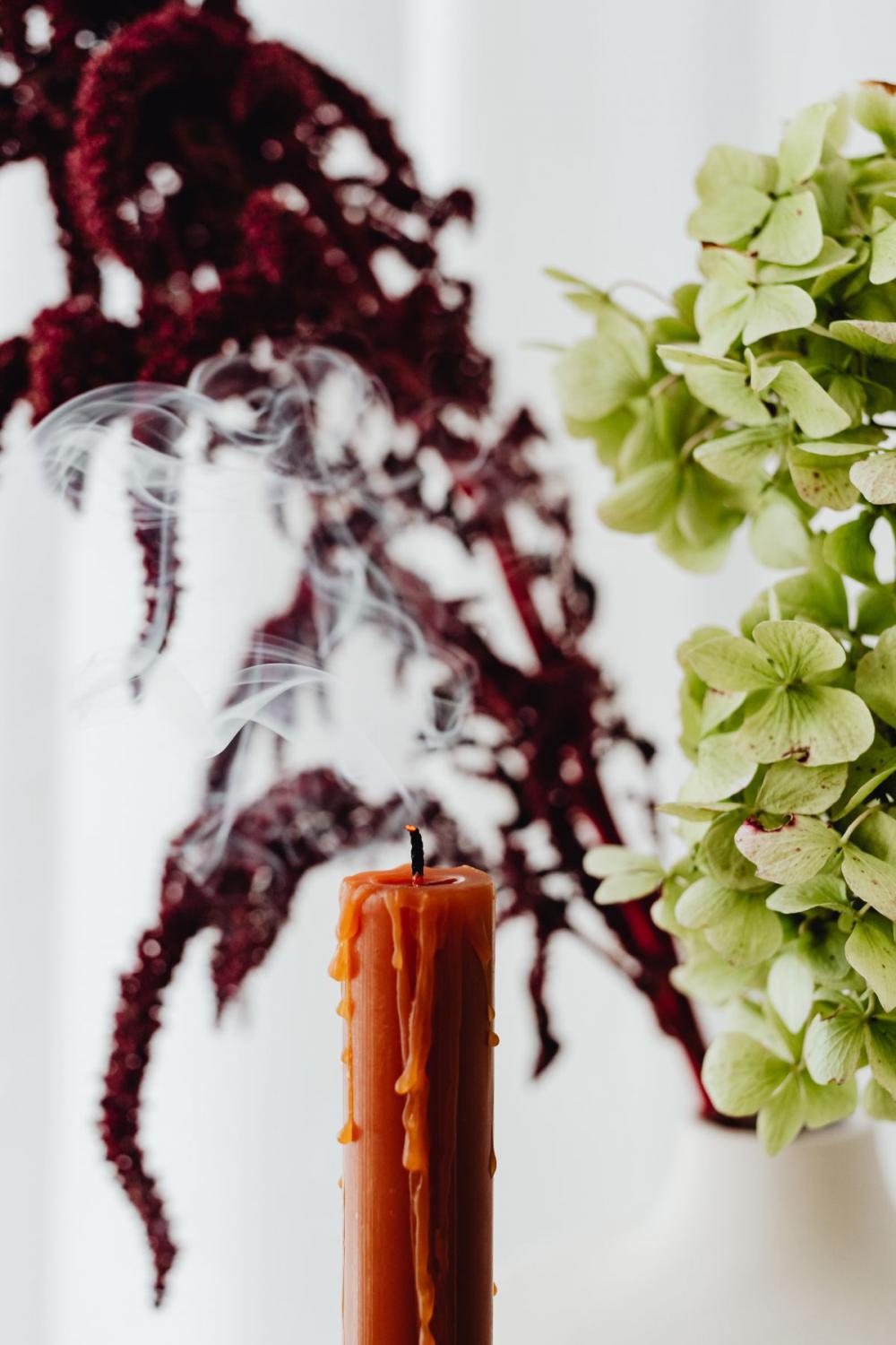 Dried flowers - still life - backgrounds Dried flowers - still life - backgrounds
