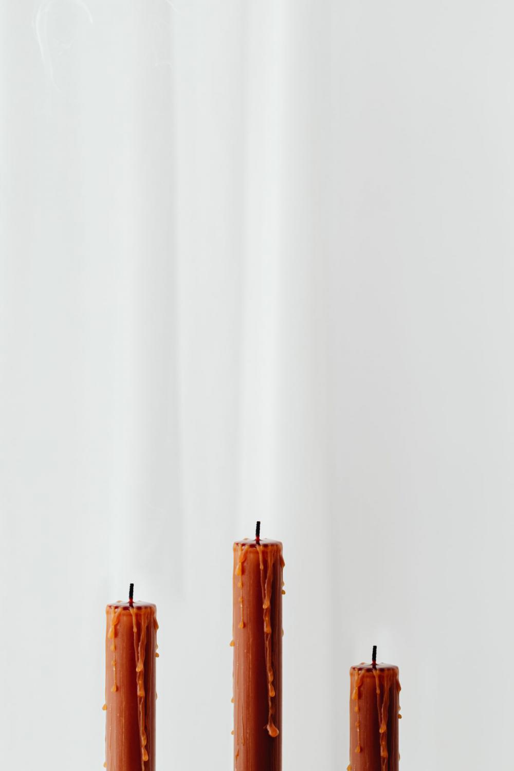 Dried flowers - still life - backgrounds Dried flowers - still life - backgrounds
