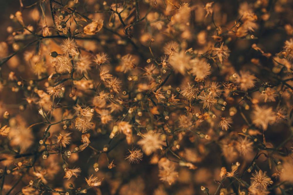 Autumn backgrounds and wallpapers Autumn backgrounds and wallpapers