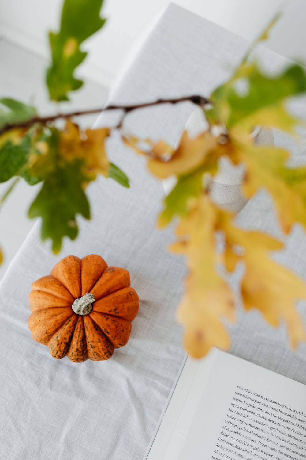 Pumpkins - autumn leaves - books Pumpkins - autumn leaves - books