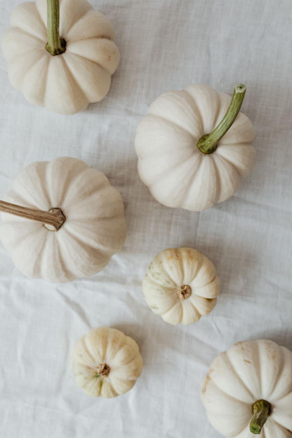 Pumpkins - autumn leaves - books Pumpkins - autumn leaves - books