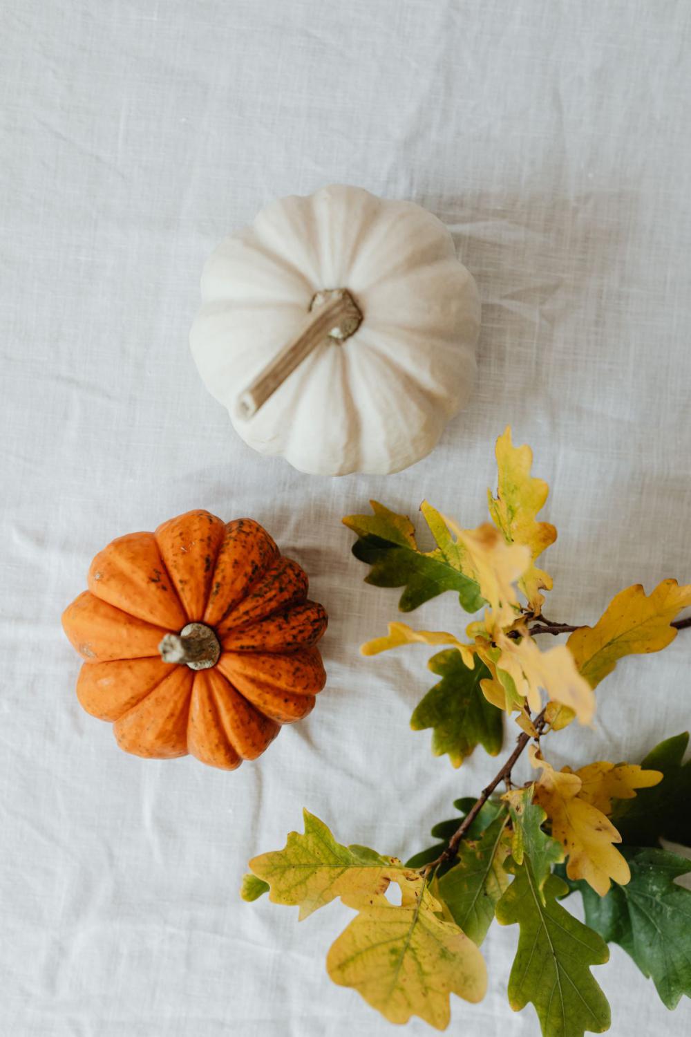 Pumpkins - autumn leaves - books Pumpkins - autumn leaves - books