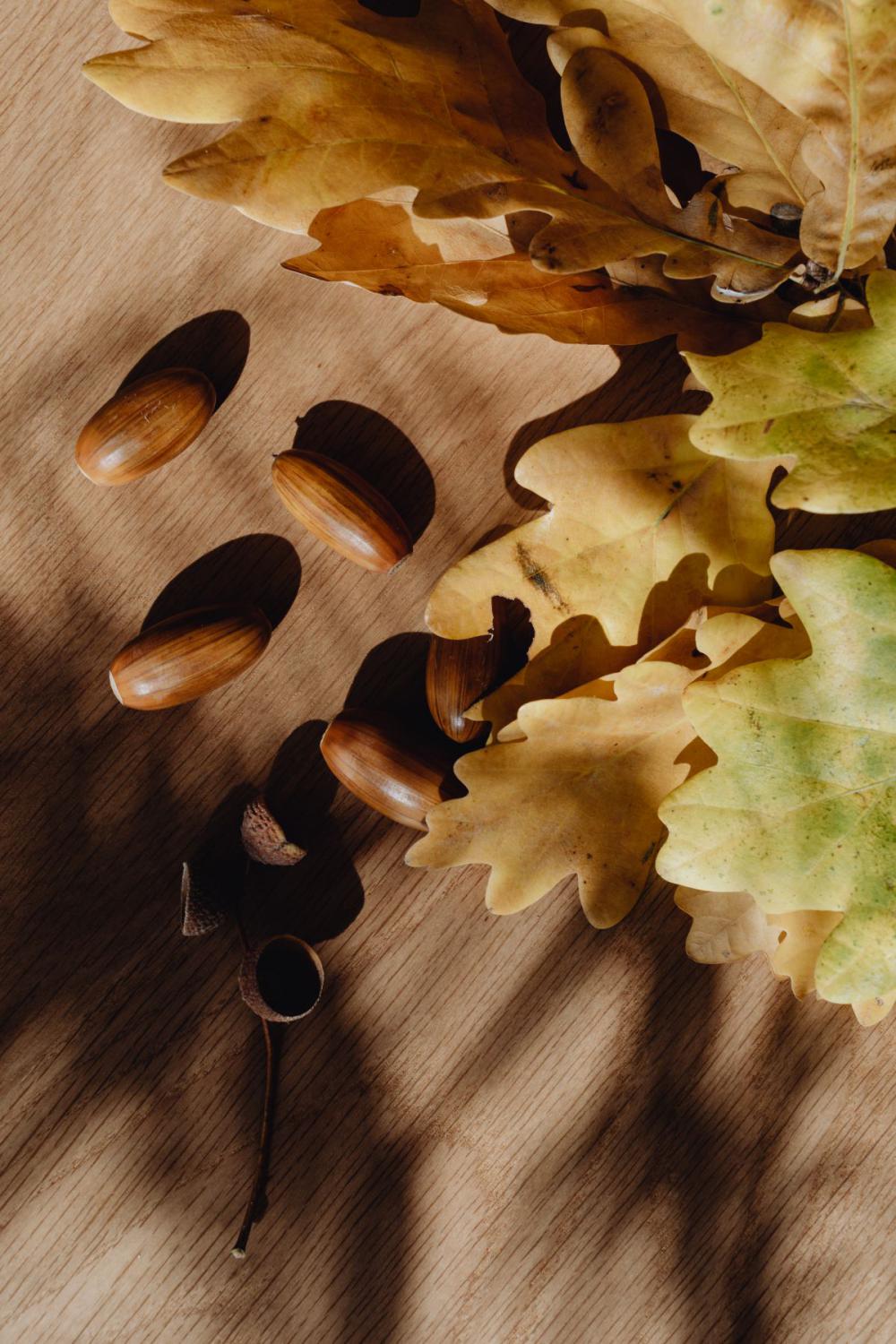 Autumn aesthetic Autumn aesthetic