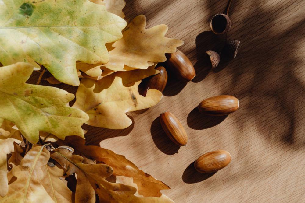 Autumn aesthetic Autumn aesthetic