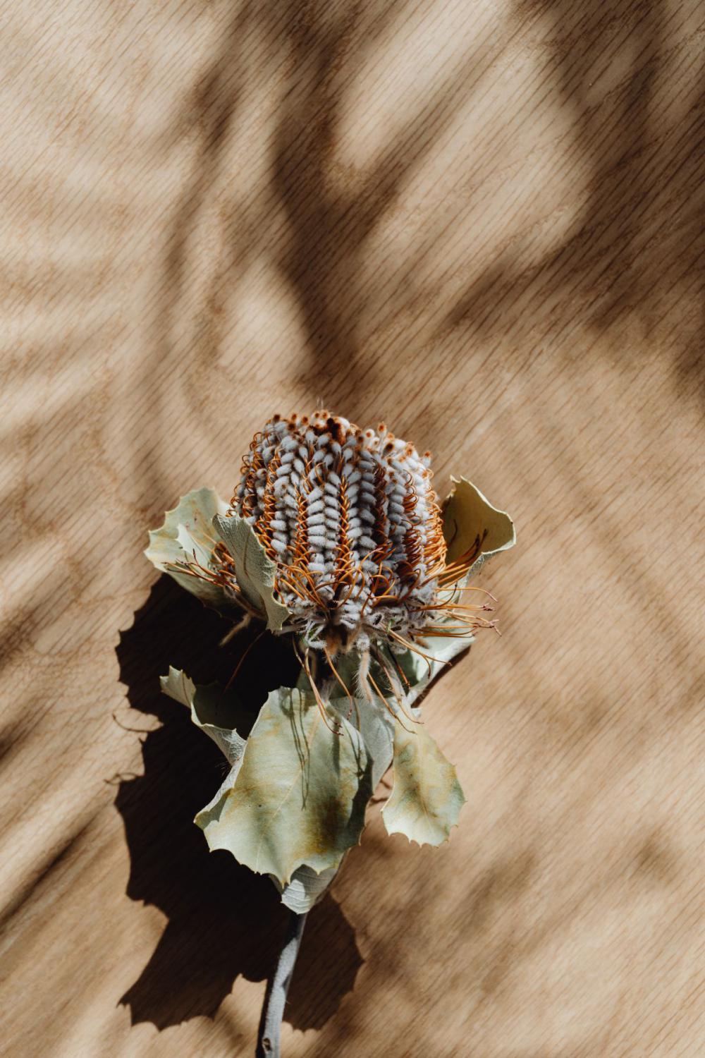 Autumn aesthetic Autumn aesthetic