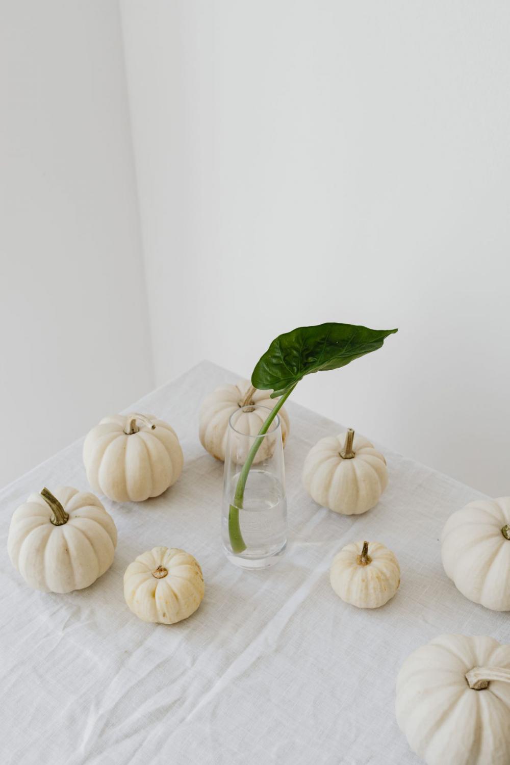 Autumn aesthetic Autumn aesthetic